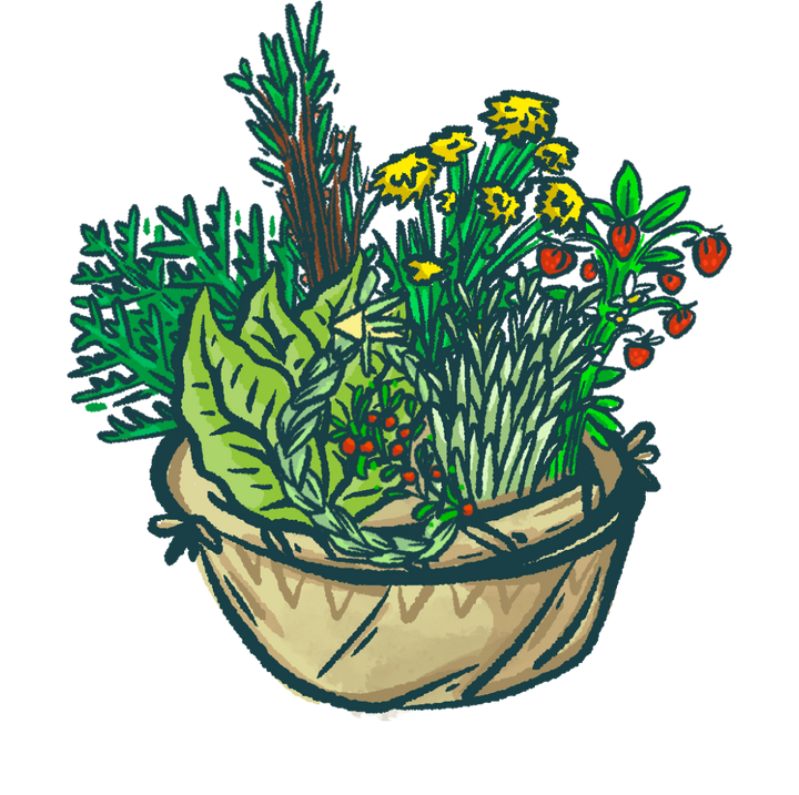 An illustration of a full medicine basket.